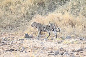 Karongwe Portfolio - Shiduli Private Game Lodge