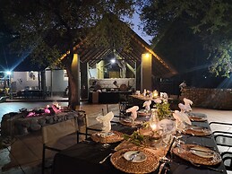 Karongwe Portfolio - Shiduli Private Game Lodge