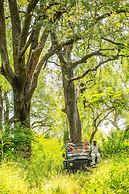 Karongwe Portfolio - Shiduli Private Game Lodge