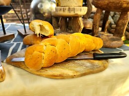 Karongwe Portfolio - Shiduli Private Game Lodge