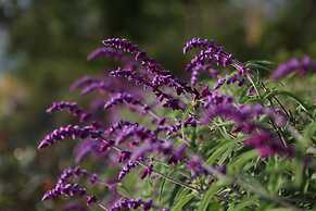 Pullman Lijiang Resort and Spa