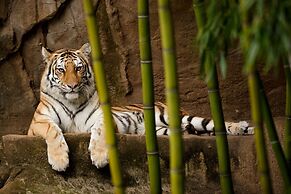 Hilton Garden Inn Columbia Northeast