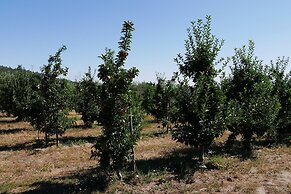 Outros Tempos Turismo De Aldeia