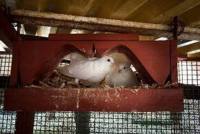 Agriturismo La Meridiana