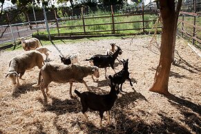 Agriturismo La Meridiana