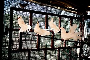 Agriturismo La Meridiana