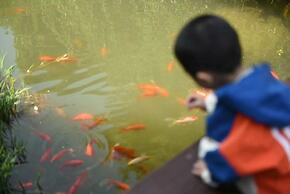 InterContinental One Thousand Island Lake Resort by IHG