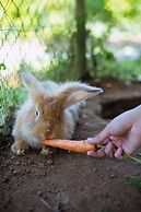 Handara Golf & Resort Bali