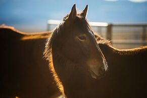Amargosa Opera House