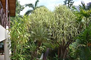 The Falls Resort at Manuel Antonio