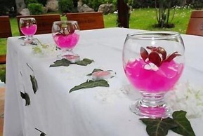 Hotel Centar Balasevic