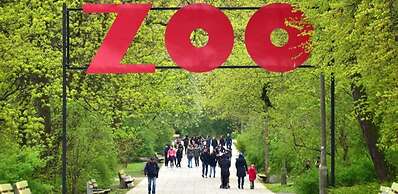 ApartHostel Helvetia