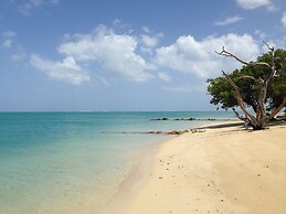 Fish Tobago Guesthouse