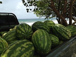 Fish Tobago Guesthouse