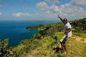 Fish Tobago Guesthouse