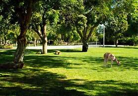 Hacienda Majoro Boutique & Resort