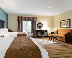 Comfort Suites Topeka Northwest