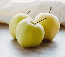 Shadzz Motel & Conference Centre