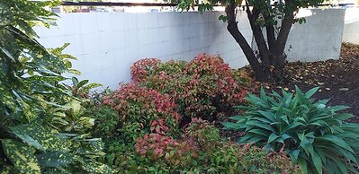 Shadzz Motel & Conference Centre