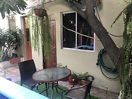 Funky Monkey Hostel