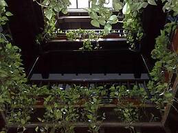 Oasis Backpackers Hostel Granada