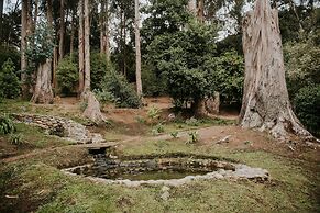 Hotel Bosque de Reñaca