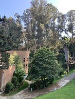 Hotel Bosque de Reñaca