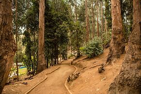 Hotel Bosque de Reñaca