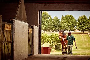 First Group Midlands Saddle and Trout