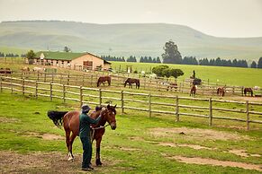 First Group Midlands Saddle and Trout