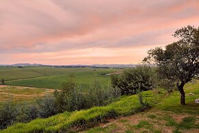First Group Midlands Saddle and Trout
