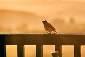 First Group Midlands Saddle and Trout