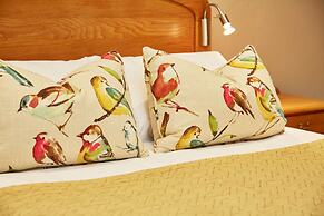 First Group Midlands Saddle and Trout