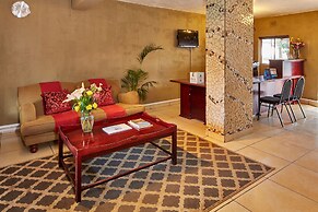 First Group Midlands Saddle and Trout