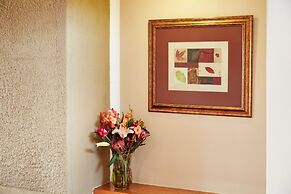 First Group Midlands Saddle and Trout