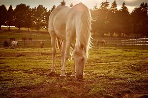First Group Midlands Saddle and Trout
