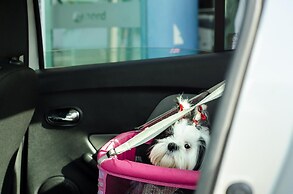 Nord Easy Green Sunset