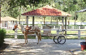 Resort Recanto do Teixeira - All Inclusive