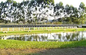 Resort Recanto do Teixeira - All Inclusive