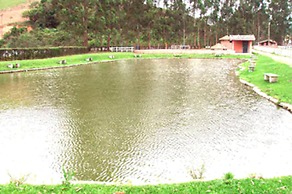 Resort Recanto do Teixeira - All Inclusive