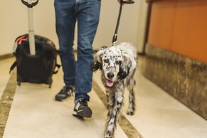 Hotel San Miguel Gijón