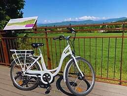 Hôtel Les Châtaigniers