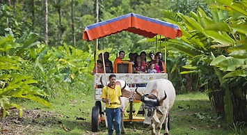 Selva Verde Lodge