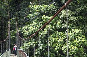 Selva Verde Lodge