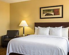 MainStay Suites Minot