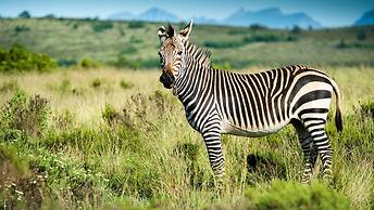 Gondwana Game Reserve