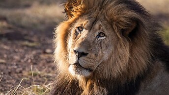 Gondwana Game Reserve