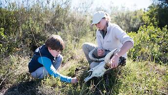 Gondwana Game Reserve