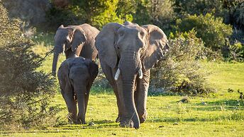 Gondwana Game Reserve