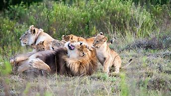 Gondwana Game Reserve